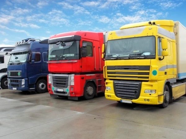 Antalya Lice Nakliye